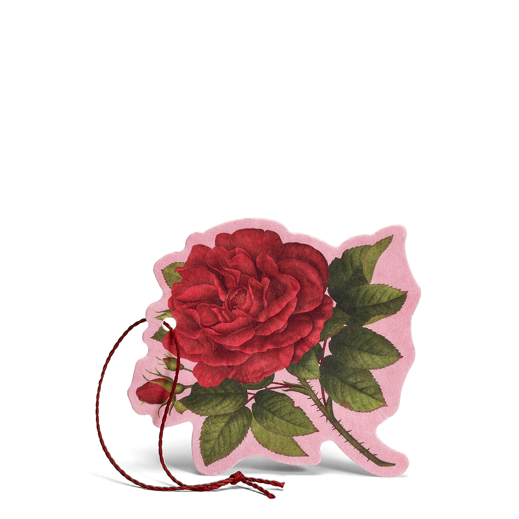 Rosa Purpurea - Fiore Profumato Multiuso - Qshops (L’Erbolario)